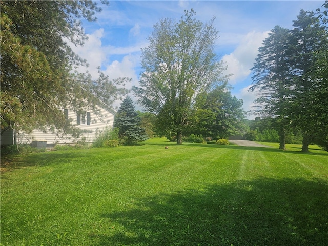 111 Haggerty Rd, Otsego, NY 13326 - photo 10