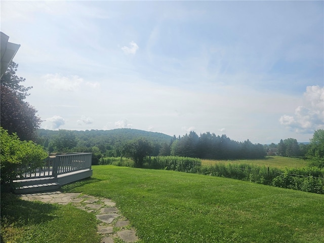111 Haggerty Rd, Otsego, NY 13326 - photo 13