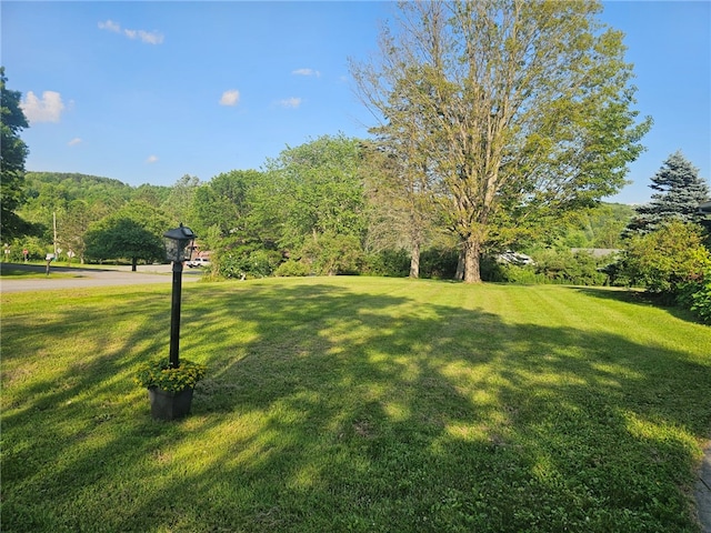 111 Haggerty Rd, Otsego, NY 13326 - photo 14