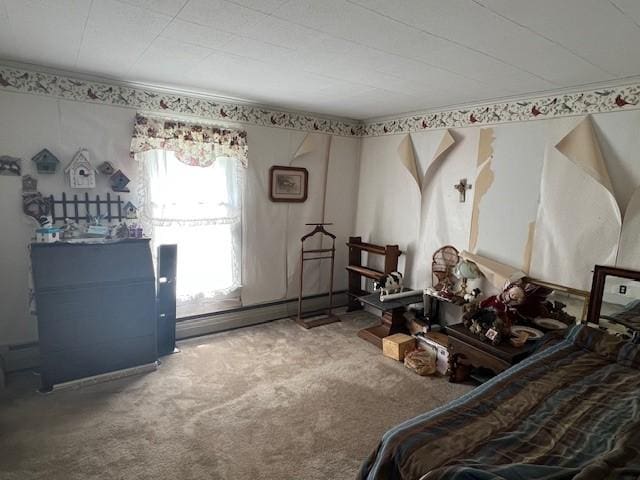 67 Perry Ave, Corning City, NY 14830 - bedroom with carpet