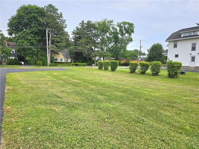 2381 Culver Rd, Irondequoit, NY 14609 - view of grassy yard