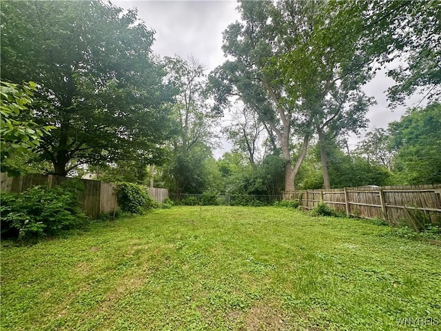 1433 Eggert Rd, Amherst, NY 14226 - view of fenced backyard