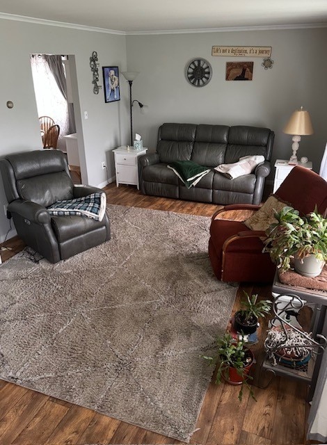 402 E Water St, Smethport Boro, PA 16749 - living room with wood finished floors and ornamental molding