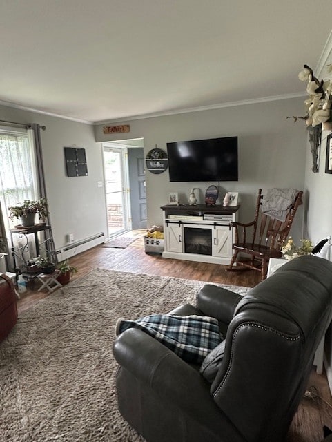 402 E Water St, Smethport Boro, PA 16749 - living room with a baseboard radiator, ornamental molding, plenty of natural light, wood finished floors, and a fireplace