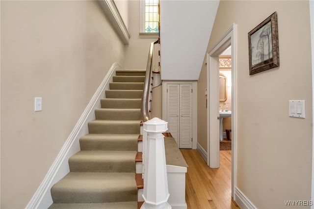51 Park St, Buffalo, NY 14201 - photo 4