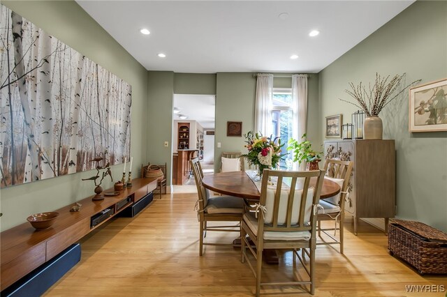 51 Park St, Buffalo, NY 14201 - photo 9