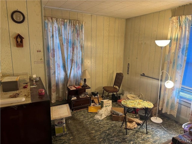 118 Barton Ave Unit 116, Utica, NY 13502 - sitting room featuring wooden walls and carpet