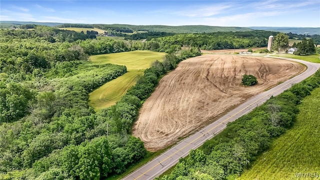 00 County Road 2a, West Almond, NY 14804 - photo 21