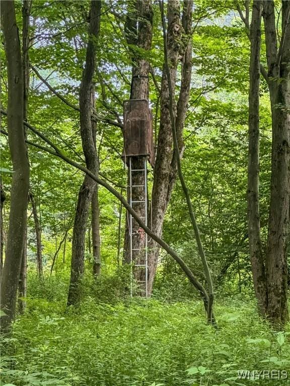 00 County Road 2a, West Almond, NY 14804 - photo 22
