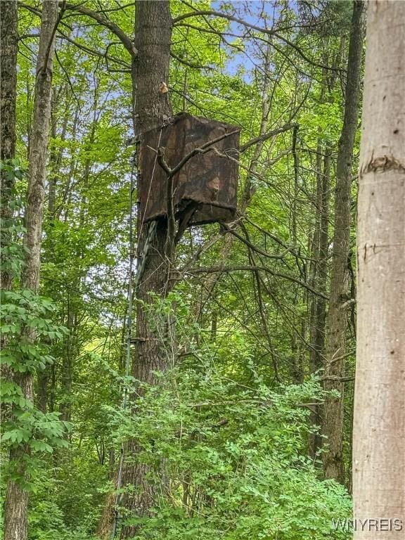00 County Road 2a, West Almond, NY 14804 - photo 24