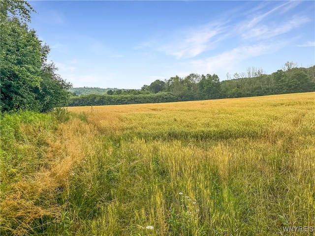 00 County Road 2a, West Almond, NY 14804 - photo 27