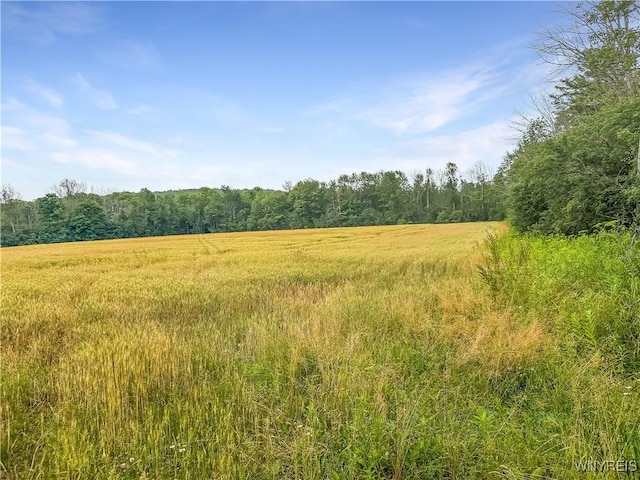00 County Road 2a, West Almond, NY 14804 - photo 28