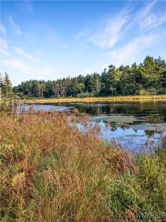 00 County Road 2a, West Almond, NY 14804 - photo 29