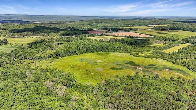 00 County Road 2a, West Almond, NY 14804 - photo 7