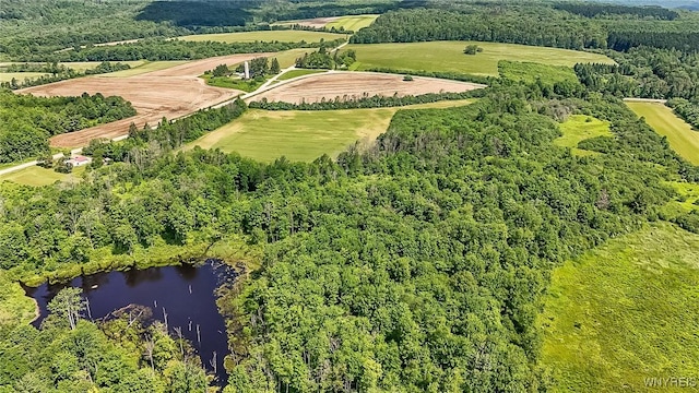 00 County Road 2a, West Almond, NY 14804 - photo 10