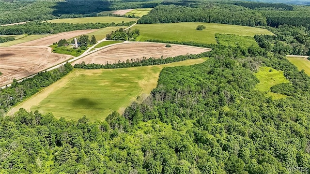 00 County Road 2a, West Almond, NY 14804 - photo 11