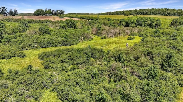00 County Road 2a, West Almond, NY 14804 - photo 16