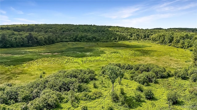 00 County Road 2a, West Almond, NY 14804 - photo 17