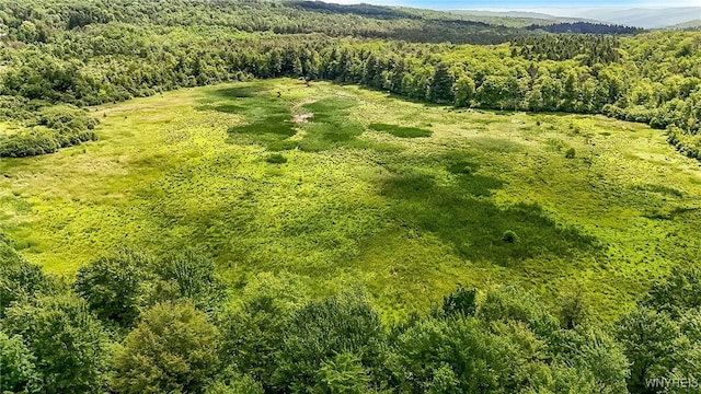 00 County Road 2a, West Almond, NY 14804 - photo 19