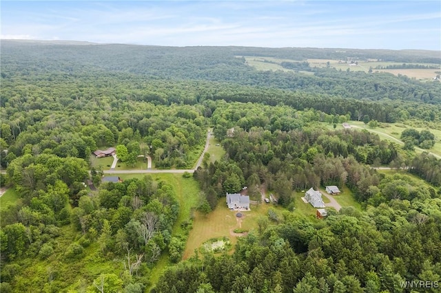 4347 Cobb Rd, Gerry, NY 14740 - photo 30
