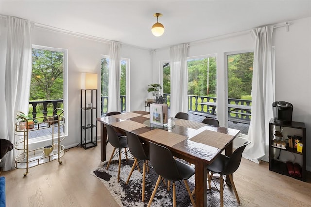 2064 County Highway 8, Roxbury, NY 12421 - dining space with light wood finished floors