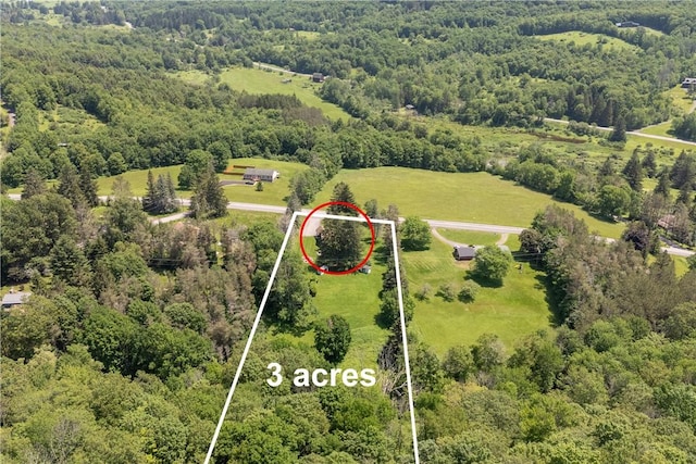 2064 County Highway 8, Roxbury, NY 12421 - aerial overview of property's location with a heavily wooded area and property boundaries highlighted