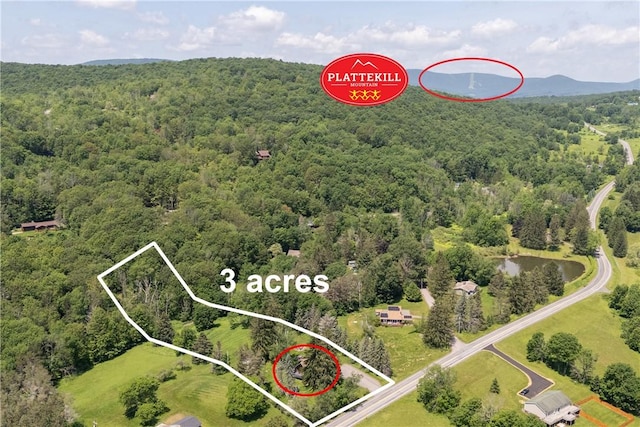 2064 County Highway 8, Roxbury, NY 12421 - aerial view of property's location featuring a forest and property boundaries highlighted