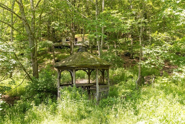 2064 County Highway 8, Roxbury, NY 12421 - view of community featuring a gazebo
