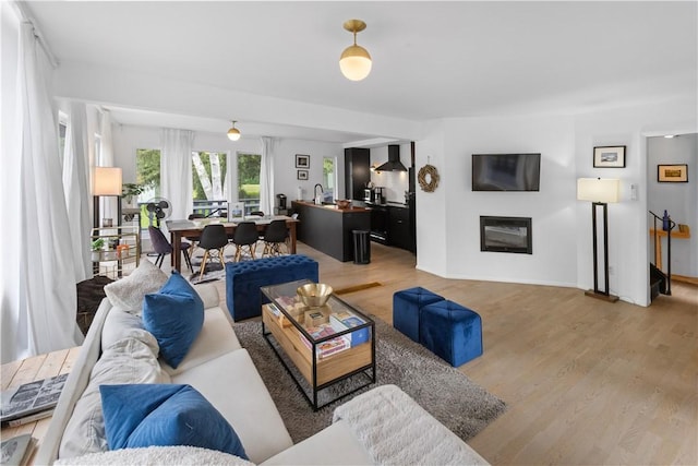 2064 County Highway 8, Roxbury, NY 12421 - living area with light wood finished floors and a glass covered fireplace