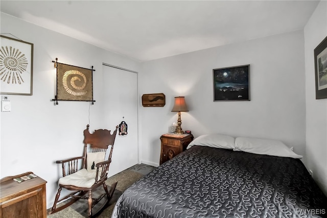51 S 86th St Unit 10B, Niagara Falls, NY 14304 - bedroom featuring carpet floors
