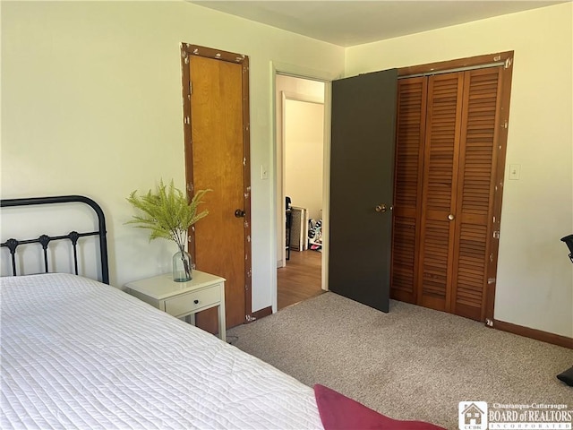 3420 Riverside Dr, Scio, NY 14895 - bedroom with carpet flooring and a closet