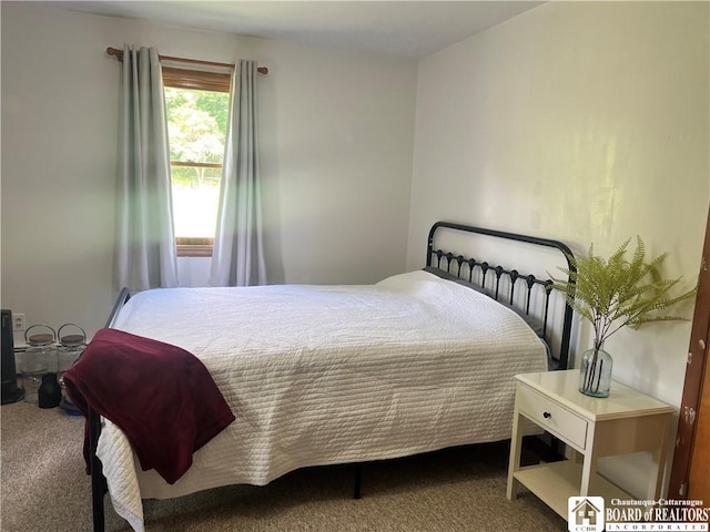 3420 Riverside Dr, Scio, NY 14895 - bedroom with carpet
