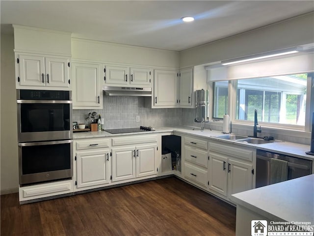 3420 Riverside Dr, Scio, NY 14895 - kitchen featuring appliances with stainless steel finishes, under cabinet range hood, light countertops, white cabinetry, and tasteful backsplash