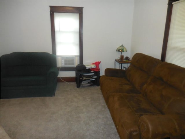 45 Olin Ave, Perry, NY 14530 - living area featuring carpet