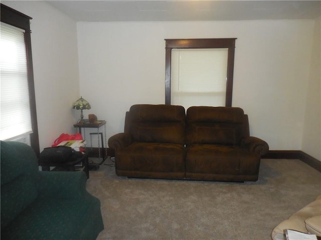 45 Olin Ave, Perry, NY 14530 - living room with carpet