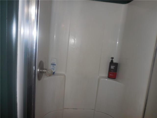 45 Olin Ave, Perry, NY 14530 - bathroom view of a shower