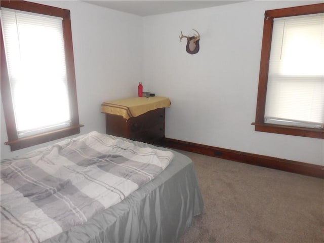 45 Olin Ave, Perry, NY 14530 - bedroom with carpet