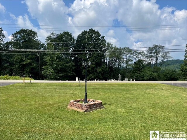 5224 Rte 353, Little Valley, NY 14755 - photo 6