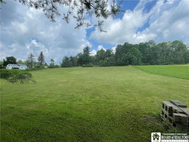 5224 Rte 353, Little Valley, NY 14755 - photo 10