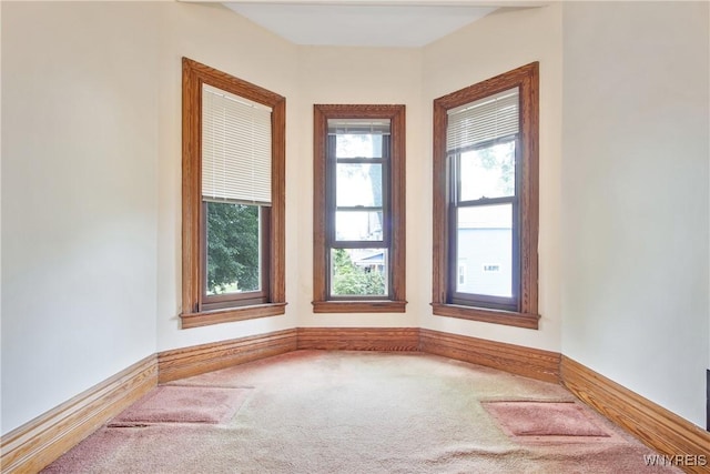 499 Breckenridge St, Buffalo, NY 14213 - spare room with carpet