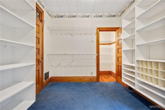 499 Breckenridge St, Buffalo, NY 14213 - spacious closet featuring carpet flooring