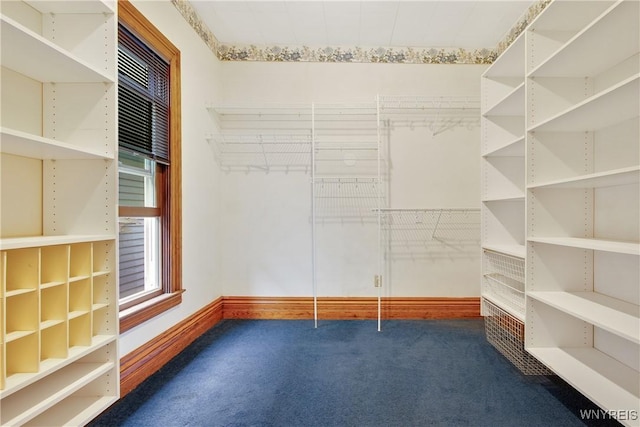 499 Breckenridge St, Buffalo, NY 14213 - spacious closet with carpet floors