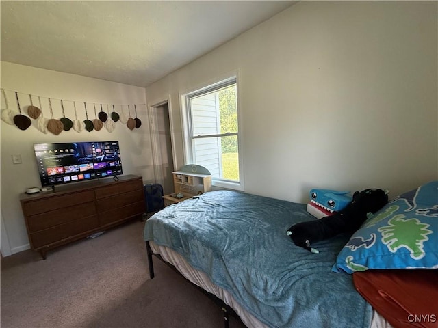 35381 State Route 3, Wilna, NY 13619 - bedroom with carpet flooring
