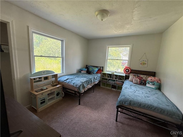 35381 State Route 3, Wilna, NY 13619 - bedroom featuring multiple windows and carpet floors