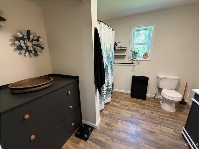 35381 State Route 3, Wilna, NY 13619 - bathroom featuring wood finished floors, vanity, and a shower with shower curtain