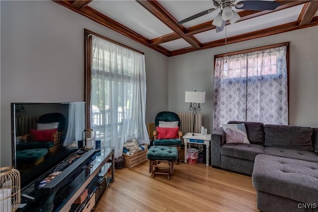 121 Haley St, Watertown City, NY 13601 - photo 9