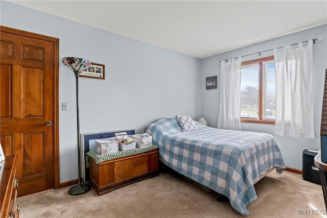 5861 Goodrich Rd Unit 6C, Clarence, NY 14032 - bedroom with carpet and baseboards