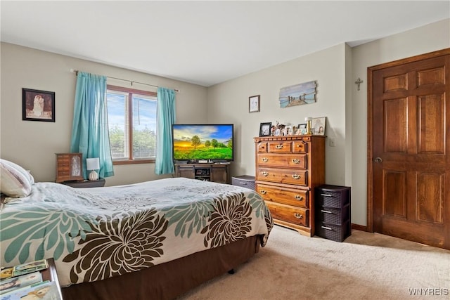 5861 Goodrich Rd Unit 6C, Clarence, NY 14032 - view of carpeted bedroom
