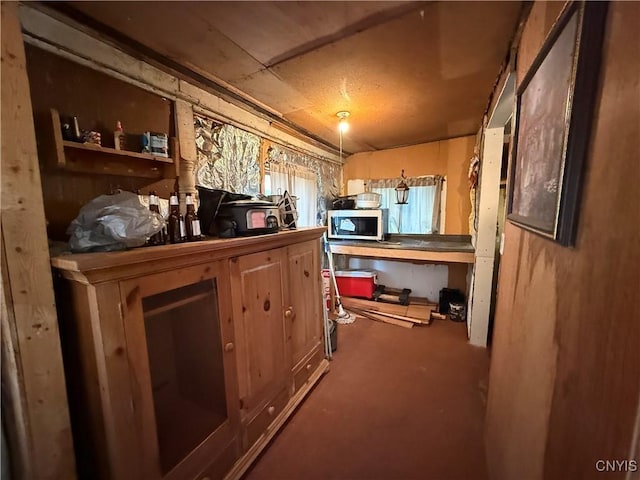 352 S Real St, Cape Vincent, NY 13618 - kitchen with stainless steel microwave and carpet