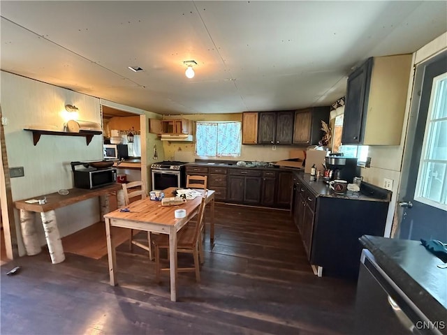 352 S Real St, Cape Vincent, NY 13618 - kitchen featuring stainless steel appliances, dark countertops, and dark wood-type flooring